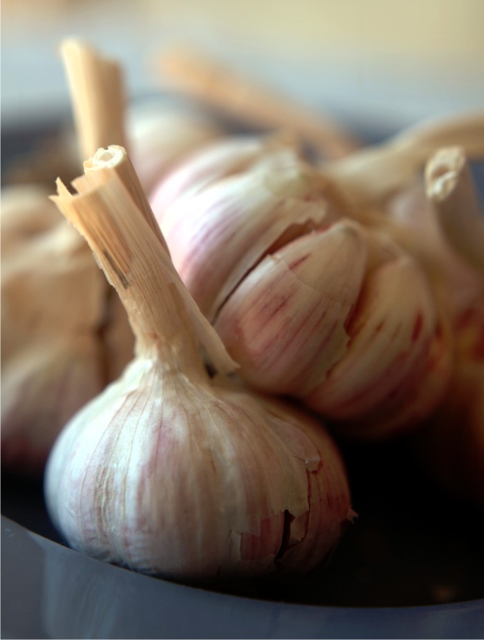 frt garlic